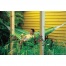 LA SIESTA - Hamac Solo Currambera Vert kiwi 300x140
