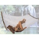 Hamac Filet Solo Nylon PolyPropylene a Barres  Trame Serree
