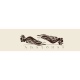 AMAZONAS - Echarpe Porte b�b� Carry Sling TRIBAL SAND 5.10 M